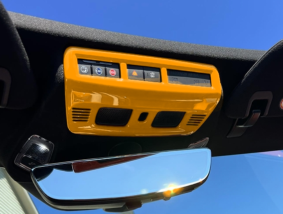 Corvette C8 Reading Lamp Trim